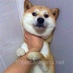 Avatar de Laura Martínez